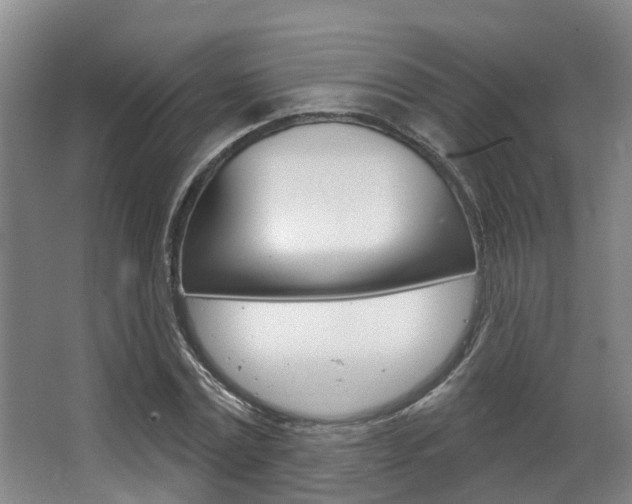 X0000063530779200601201150