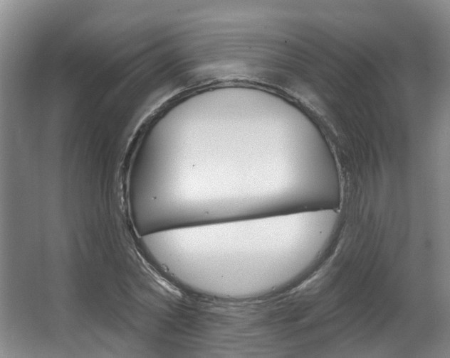 X0000063530782200601201150