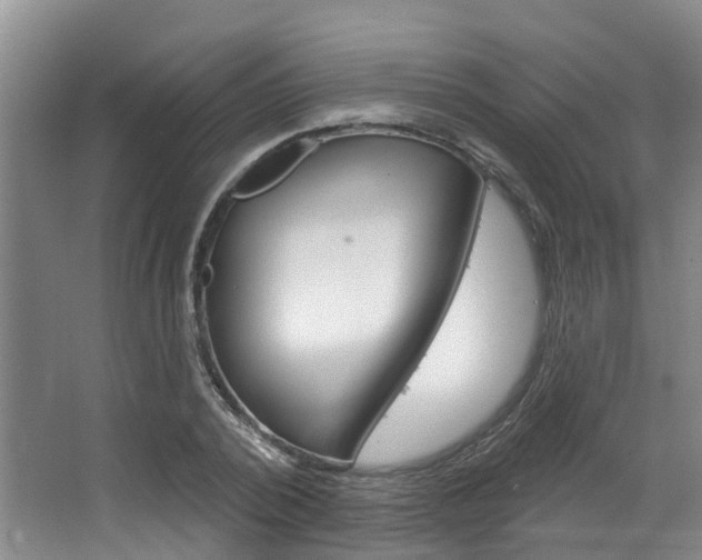 X0000063530784200601201150