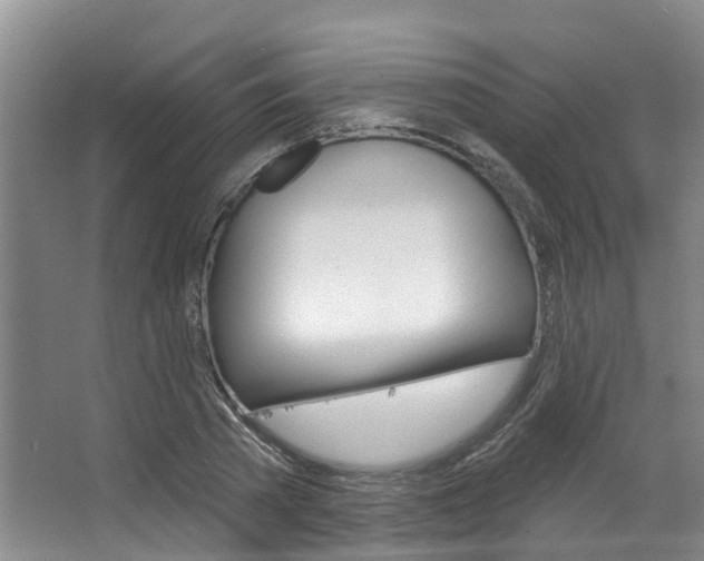 X0000063530785200601201150