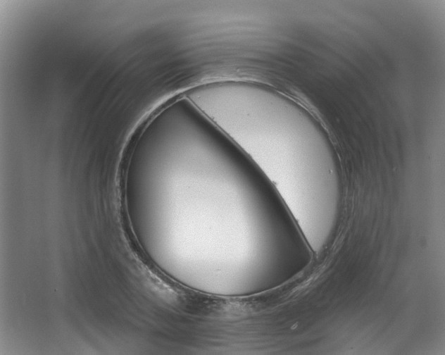 X0000063530787200601201150