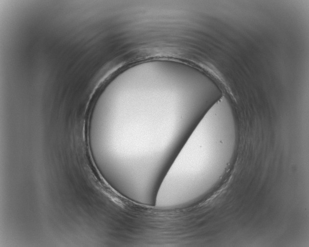 X0000063530790200601201150