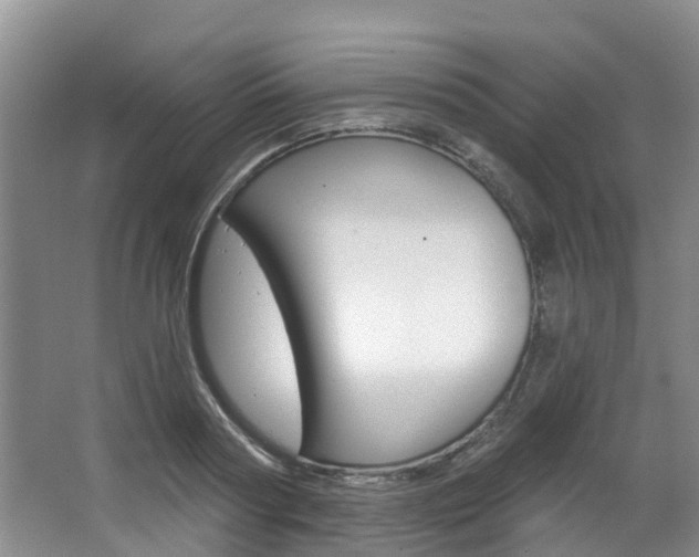 X0000063530794200601201150