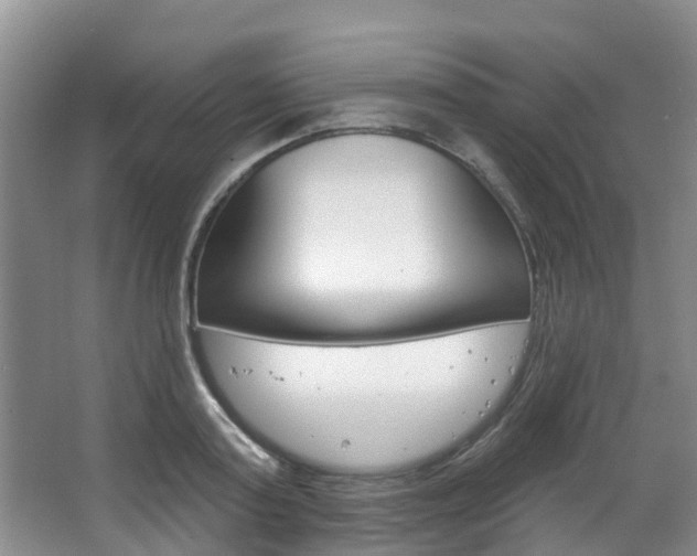 X0000063530795200601201150