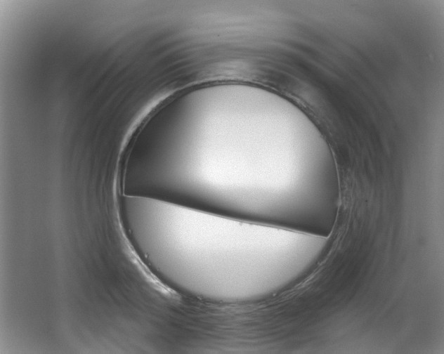 X0000063530796200601201150