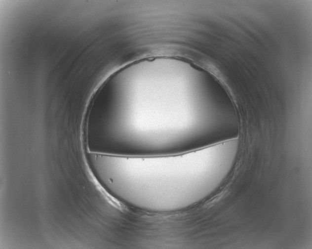 X0000063530803200601201150