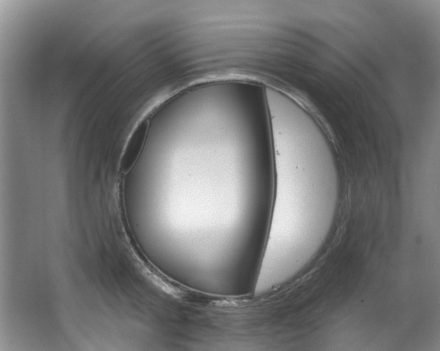 X0000063530805200601201150