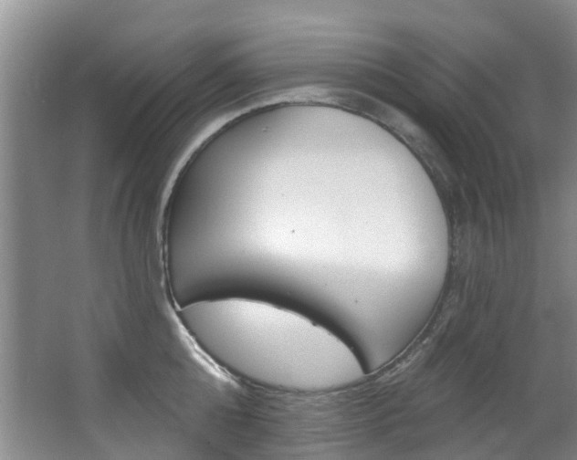 X0000063530808200601201150