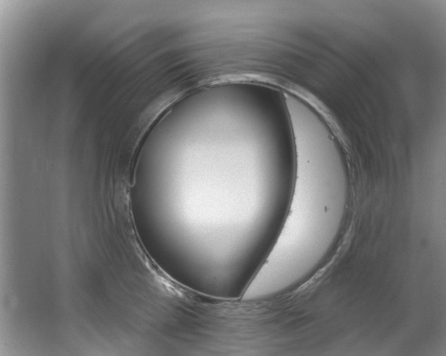 X0000063530809200601201150