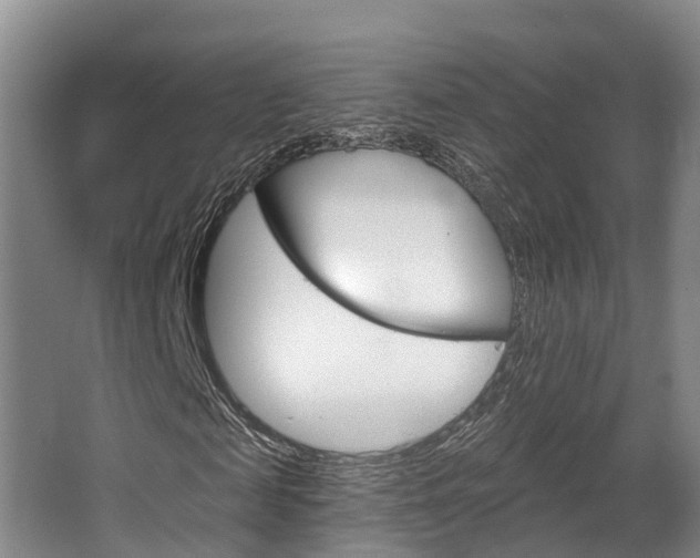 X0000063530817200601201149