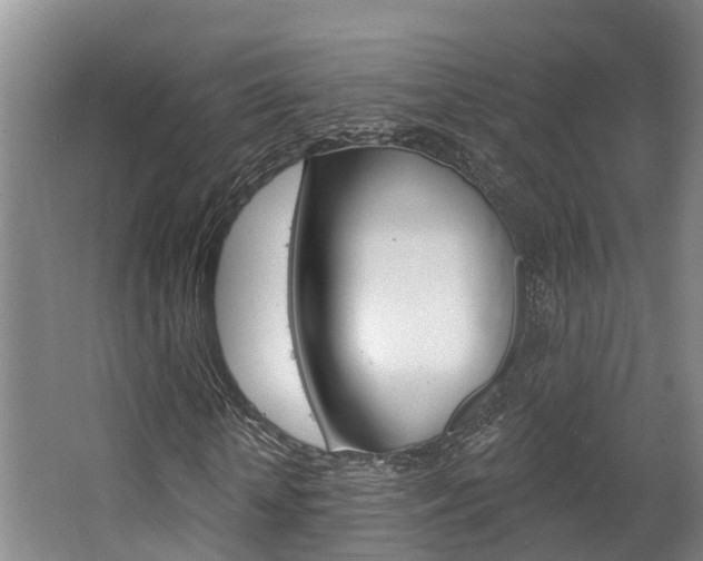 X0000063530818200601201149