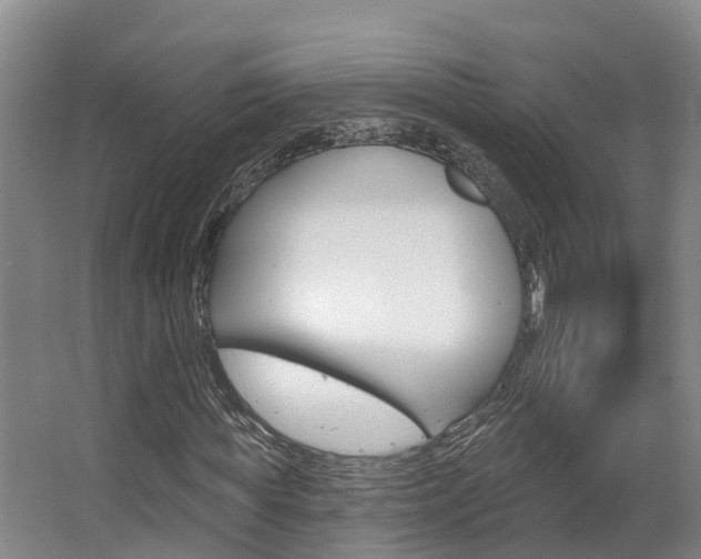 X0000063530819200601201149