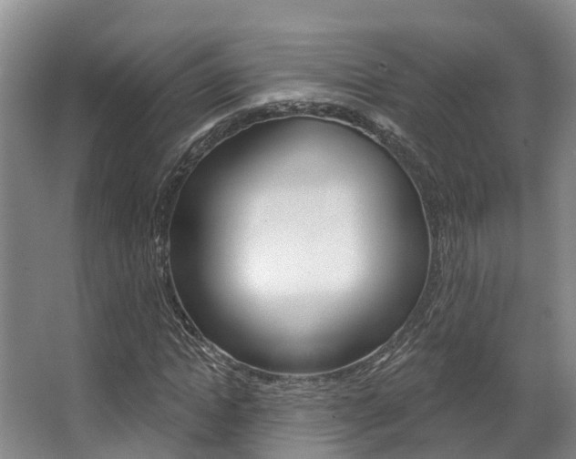 X0000063530822200601201149