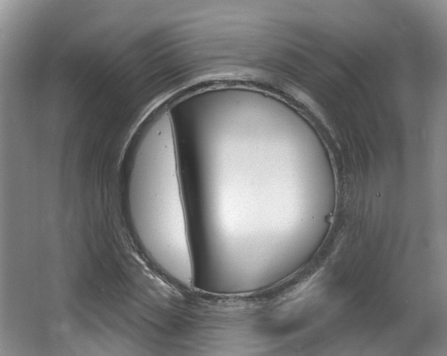 X0000063530829200601201149