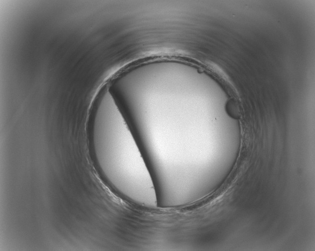 X0000063530831200601201149
