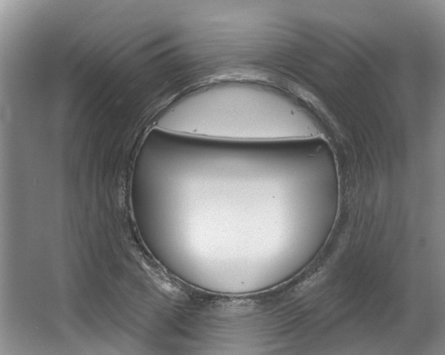 X0000063530833200601201149