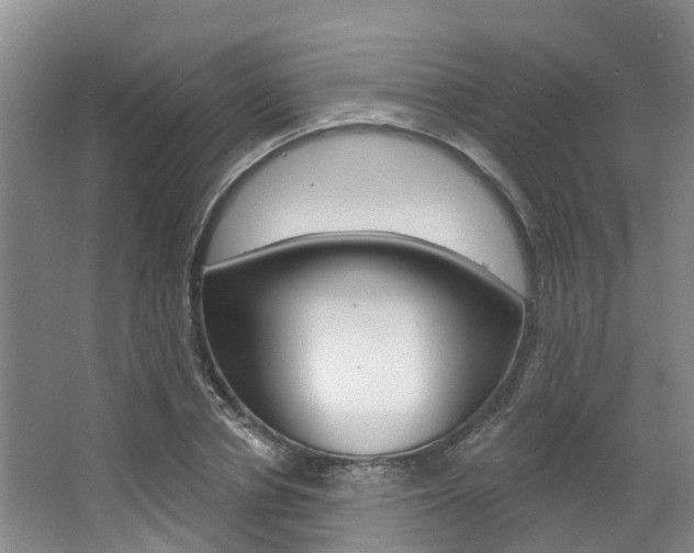 X0000063530834200601201149