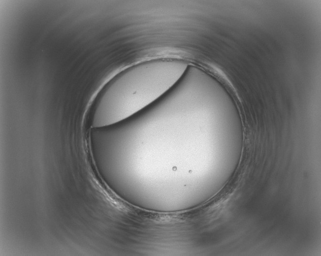 X0000063530835200601201149