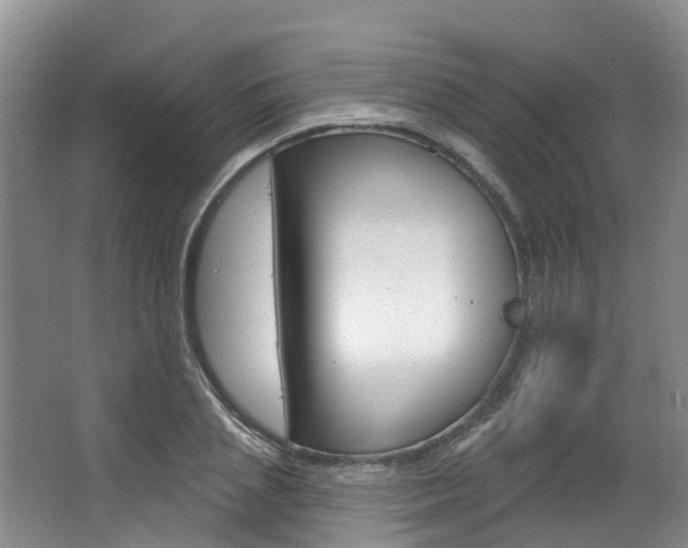 X0000063530837200601201149