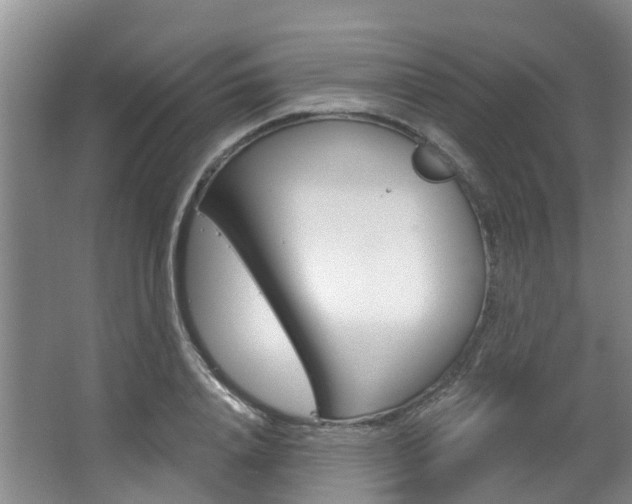 X0000063530840200601201149
