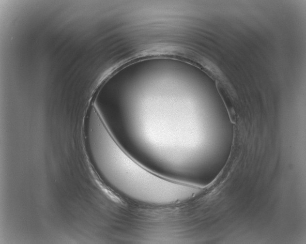 X0000063530842200601201149