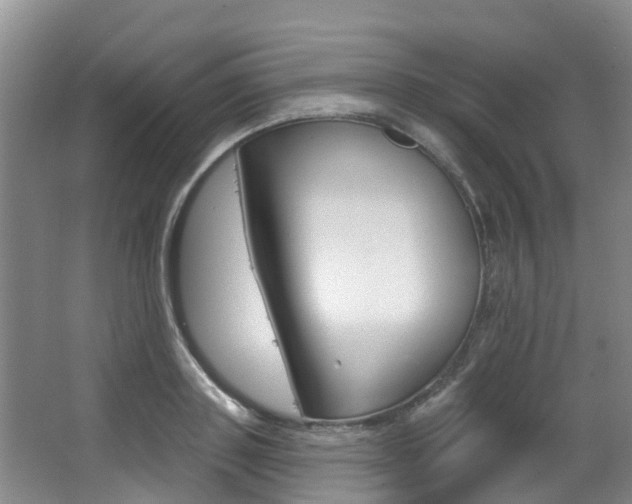 X0000063530843200601201149