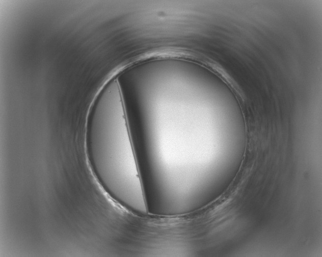 X0000063530853200601201150