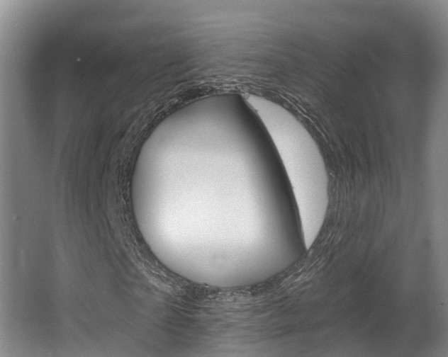X0000063530865200601201149