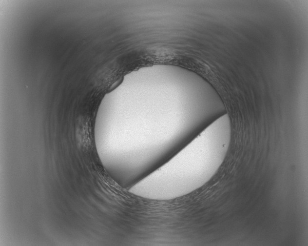 X0000063530866200601201149