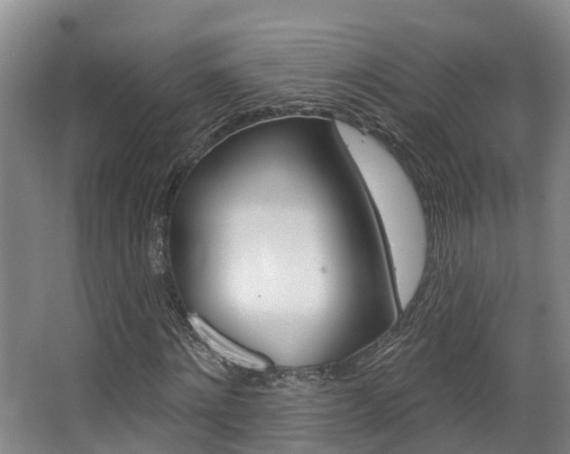 X0000063530868200601201149