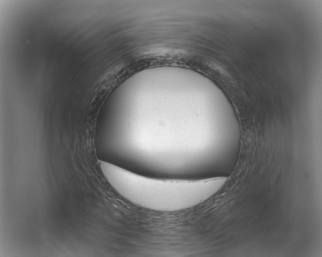 X0000063530869200601201149