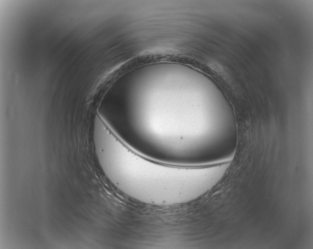 X0000063530872200601201149