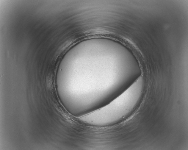 X0000063530873200601201149