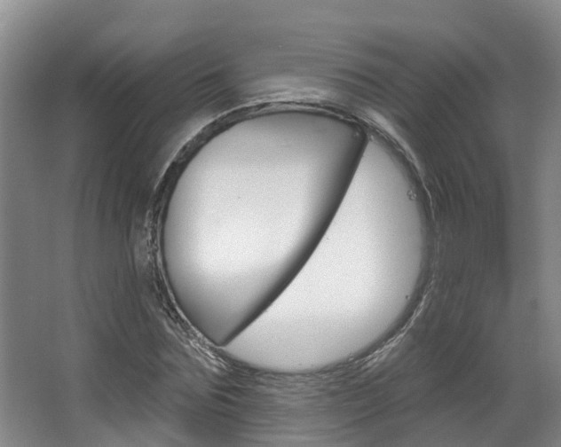 X0000063530875200601201149