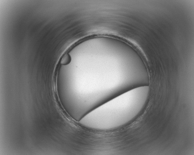 X0000063530887200601201149
