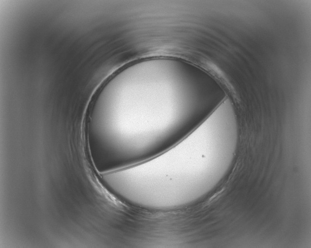 X0000063530892200601201148