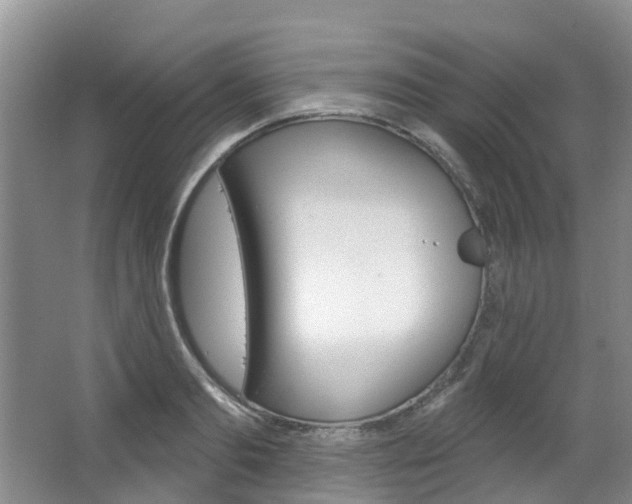 X0000063530893200601201148