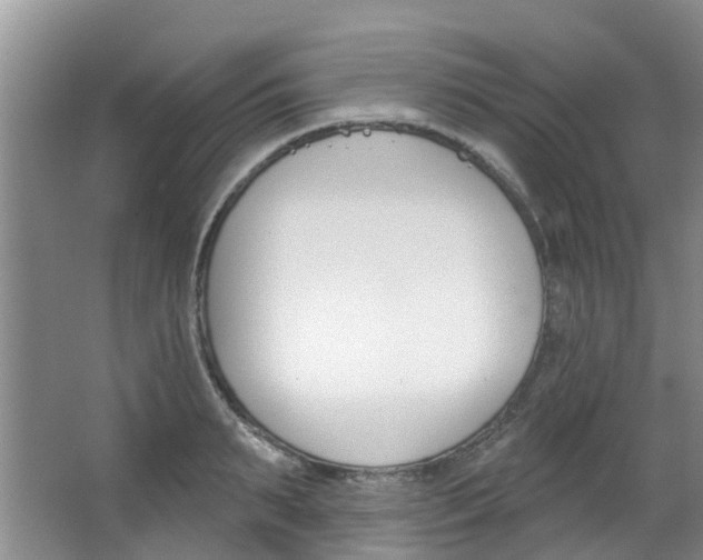X0000063530895200601201148