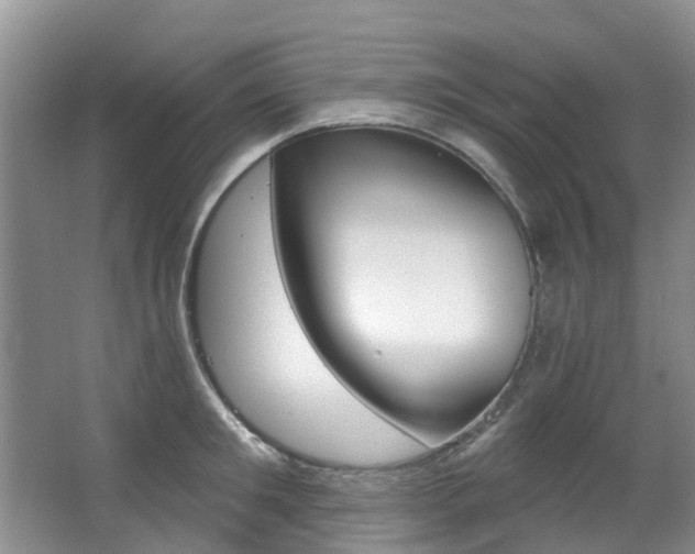 X0000063530901200601201148