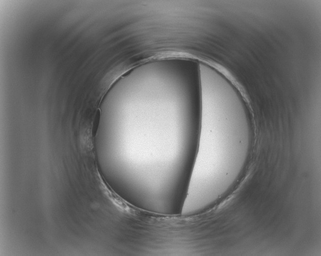 X0000063530905200601201148