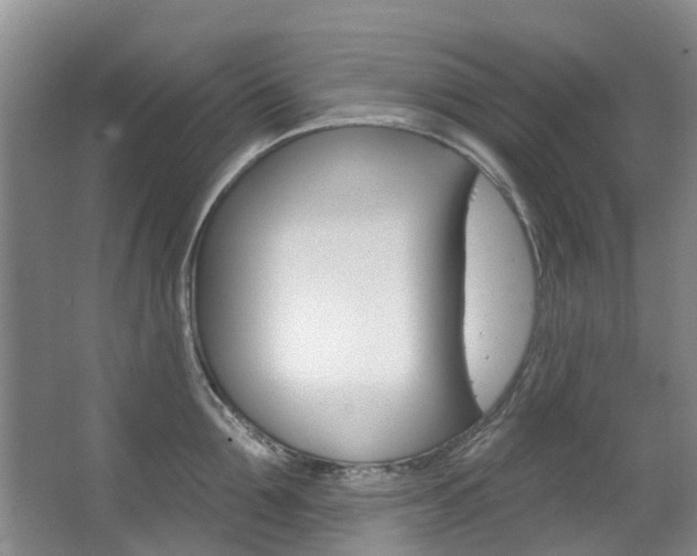 X0000063530907200601201148