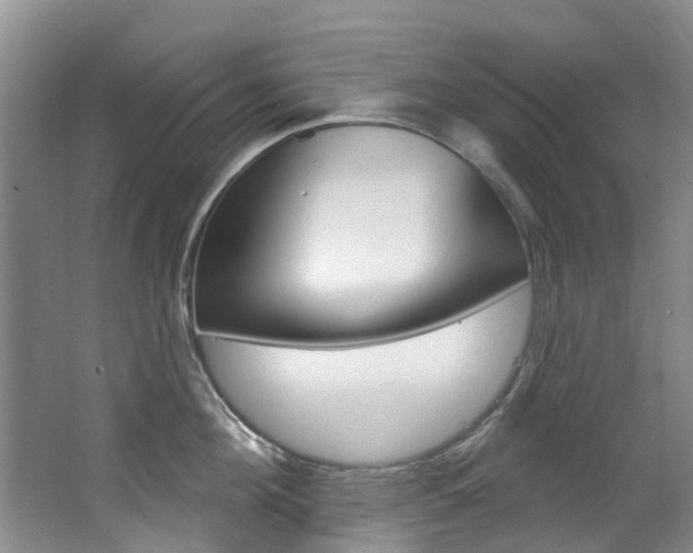 X0000063530908200601201148