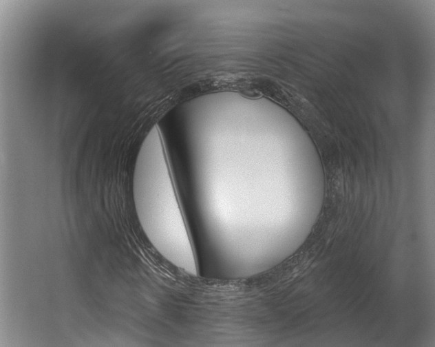 X0000063530914200601201147