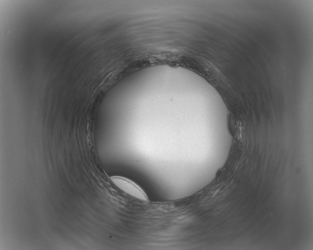 X0000063530915200601201147