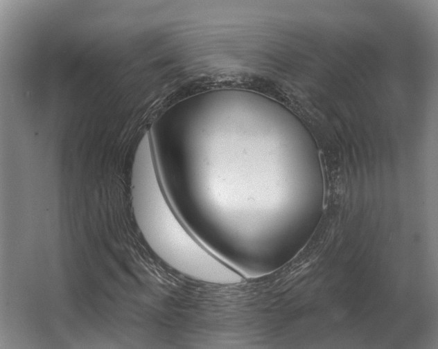 X0000063530916200601201147