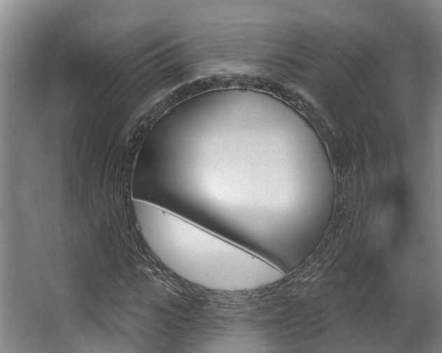 X0000063530919200601201147