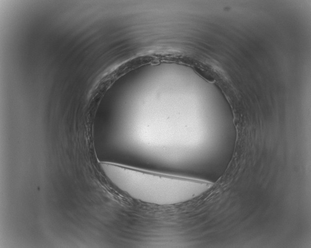 X0000063530920200601201147