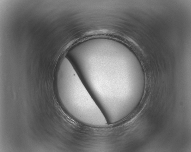 X0000063530921200601201147