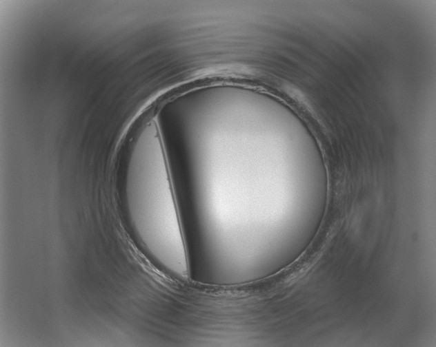 X0000063530923200601201147