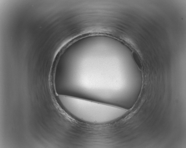 X0000063530928200601201148